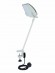 EUROLITE KKL-300 Halogene Flood wh