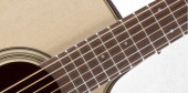 TAKAMINE PRO SERIES 2 P2DC PRO SERIES 2