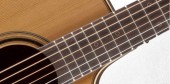 TAKAMINE PRO SERIES 3 CP3DC-OV