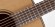 TAKAMINE PRO SERIES 3 P3D
