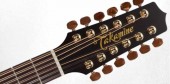 TAKAMINE PRO SERIES 3 P3DC-12