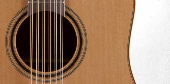 TAKAMINE PRO SERIES 3 P3DC-12