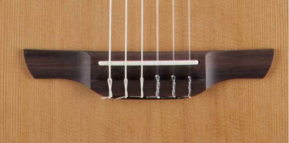TAKAMINE PRO SERIES 3 P3FCN