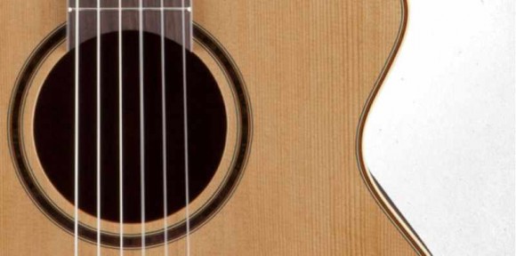 TAKAMINE PRO SERIES 3 P3FCN