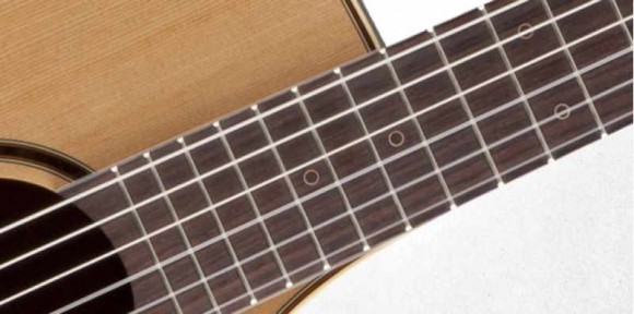 TAKAMINE PRO SERIES 3 P3FCN