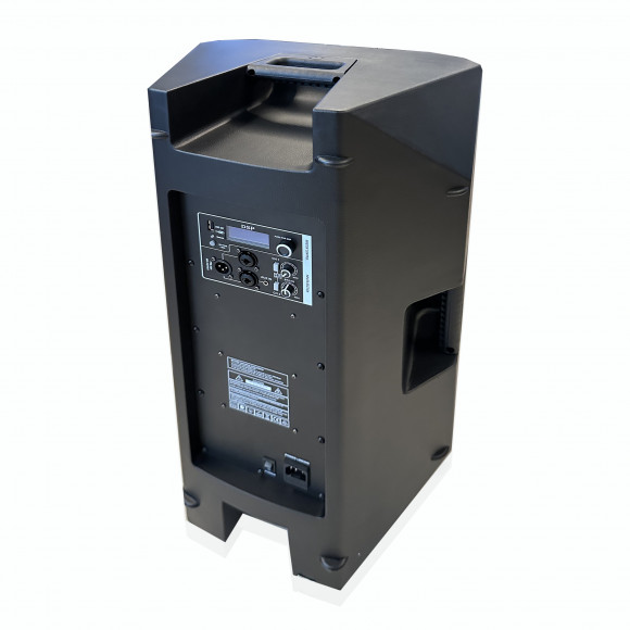 RQ SONIC CAN15D3 Активная акустическая система 1000 Вт