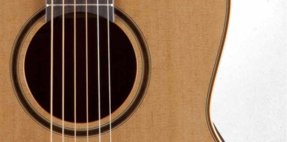 TAKAMINE PRO SERIES 3 P3NY