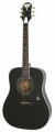 EPIPHONE PRO-1 PLUS Acoustic Ebony