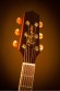 TAKAMINE PRO SERIES 4 P4DC