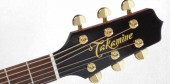 TAKAMINE PRO SERIES 5 P5J