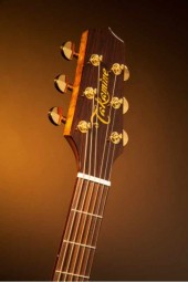 TAKAMINE PRO SERIES 5 P5JC