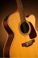 TAKAMINE PRO SERIES 5 P5JC