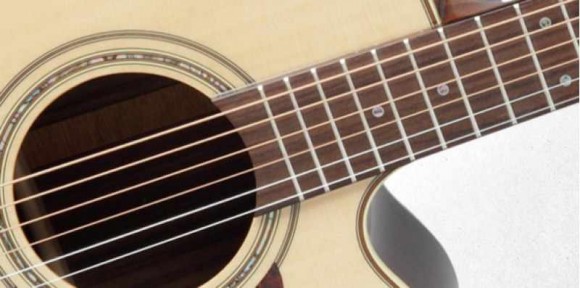 TAKAMINE PRO SERIES 5 P5JC