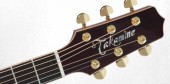 TAKAMINE PRO SERIES 7 P7D