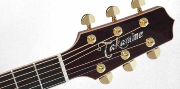 TAKAMINE PRO SERIES 7 P7D
