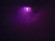 EUROLITE LED IP FL-50 COB RGB 120° RC