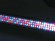 EUROLITE LED BAR-252 RGB 10mm 40° black