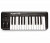 ALESIS Q25