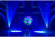 ADJ Focus Spot 4Z Pearl