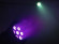 EUROLITE LED ML-30 QCL 7x8W Floor bk