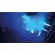ADJ Fog Fury Jett ADJ Fog Fury Jett
