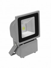 EUROLITE LED IP FL-80 COB 6400K 120°